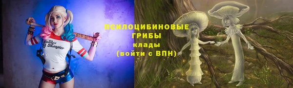 молекула духа Бронницы