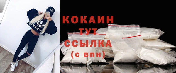 молекула духа Бронницы