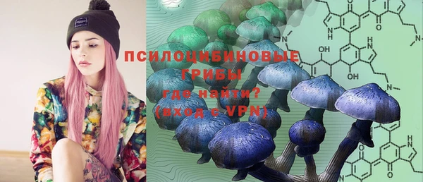 mdma Бородино