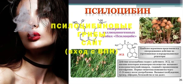 молекула духа Бронницы